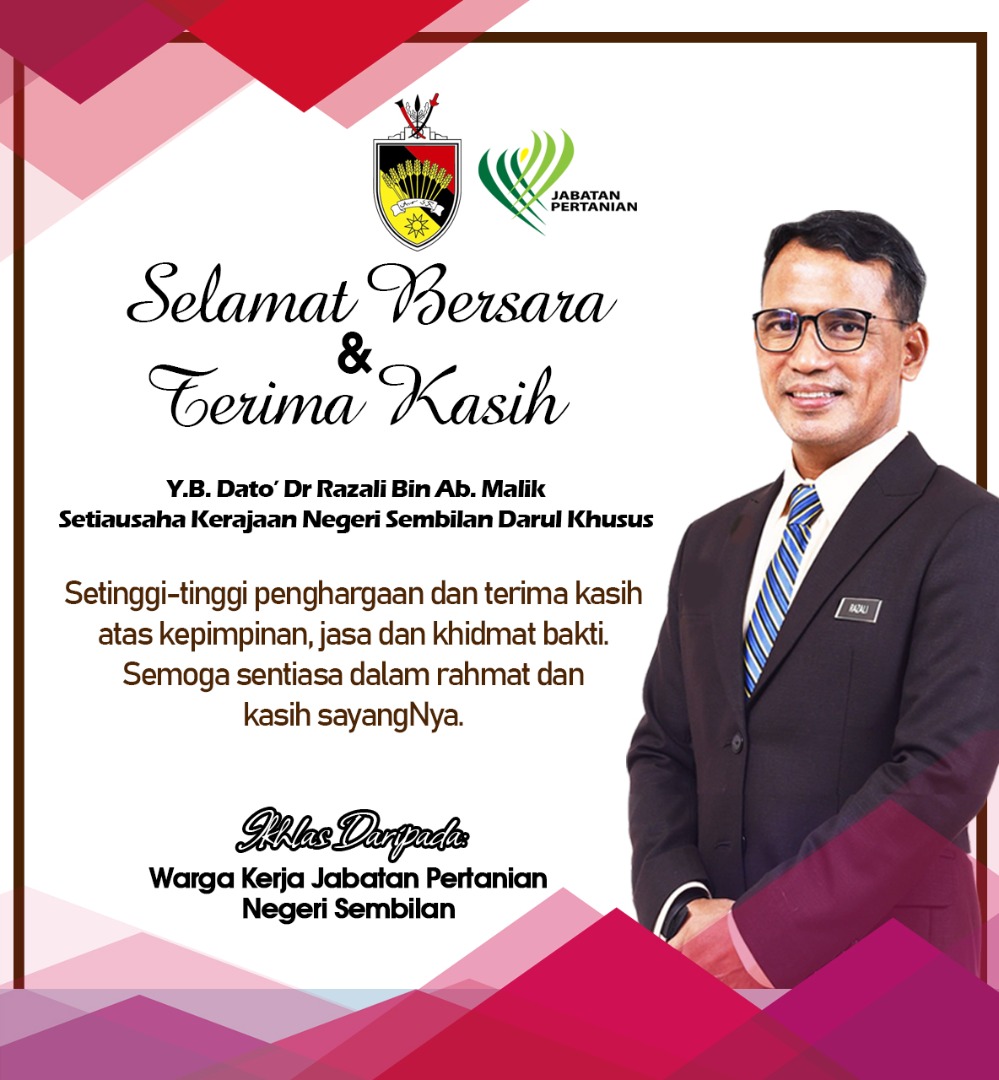 image berita