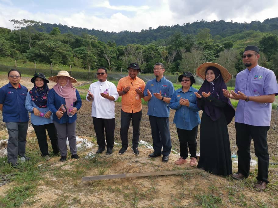 image berita